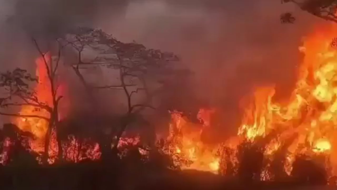 Incendios forestales en San Luis y el Guamo, en el Tolima.