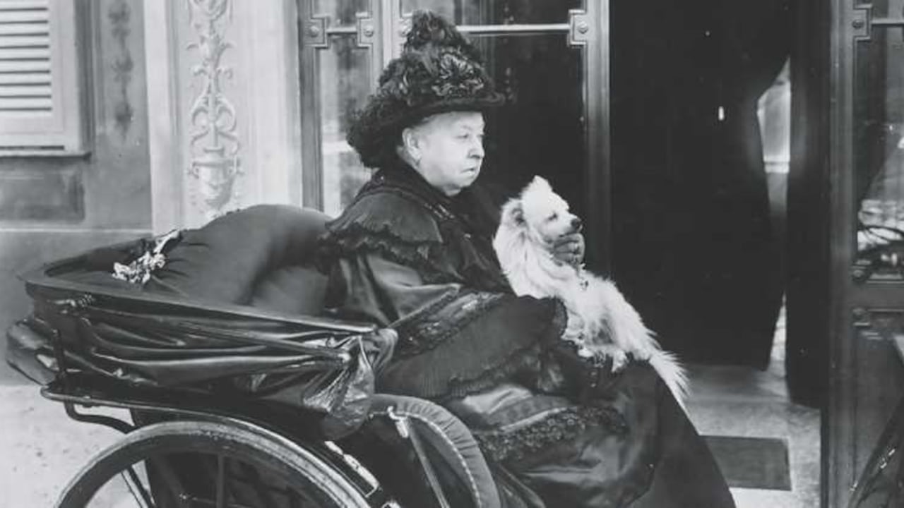 "El tipo de música que un perro escucha es importante", dice Samantha Gaine, experta en bienestar canino de la Royal Society for the Prevention of Cruelty to Animals.