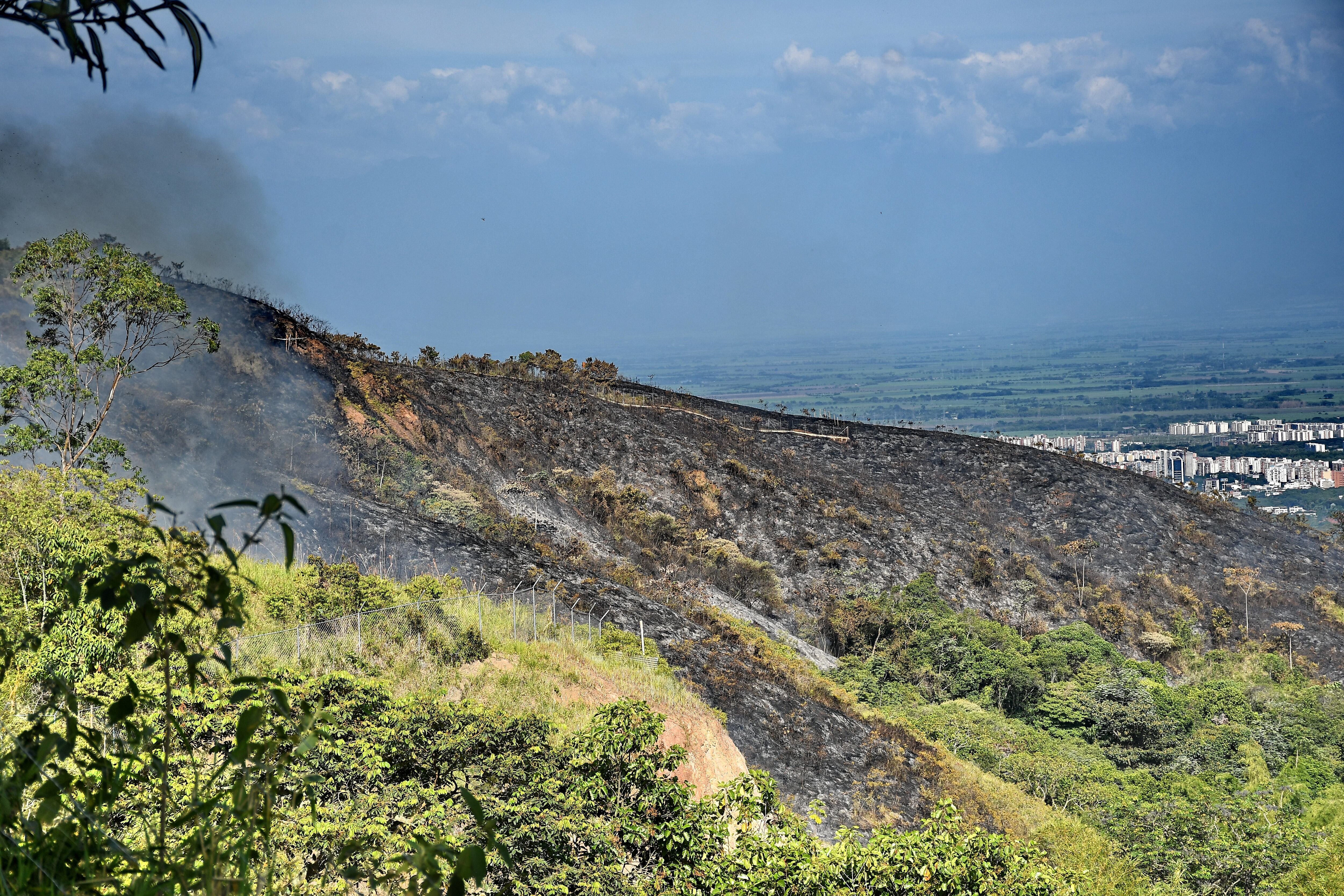de 20Incendio forestal en la buitrera , Sep 21 23, en Cali Valle