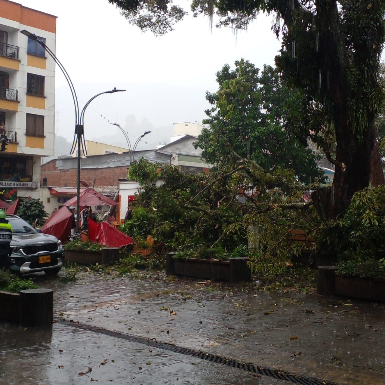 La caída de un árbol provocó heridas a dos personas en Calarcá, Quindío.