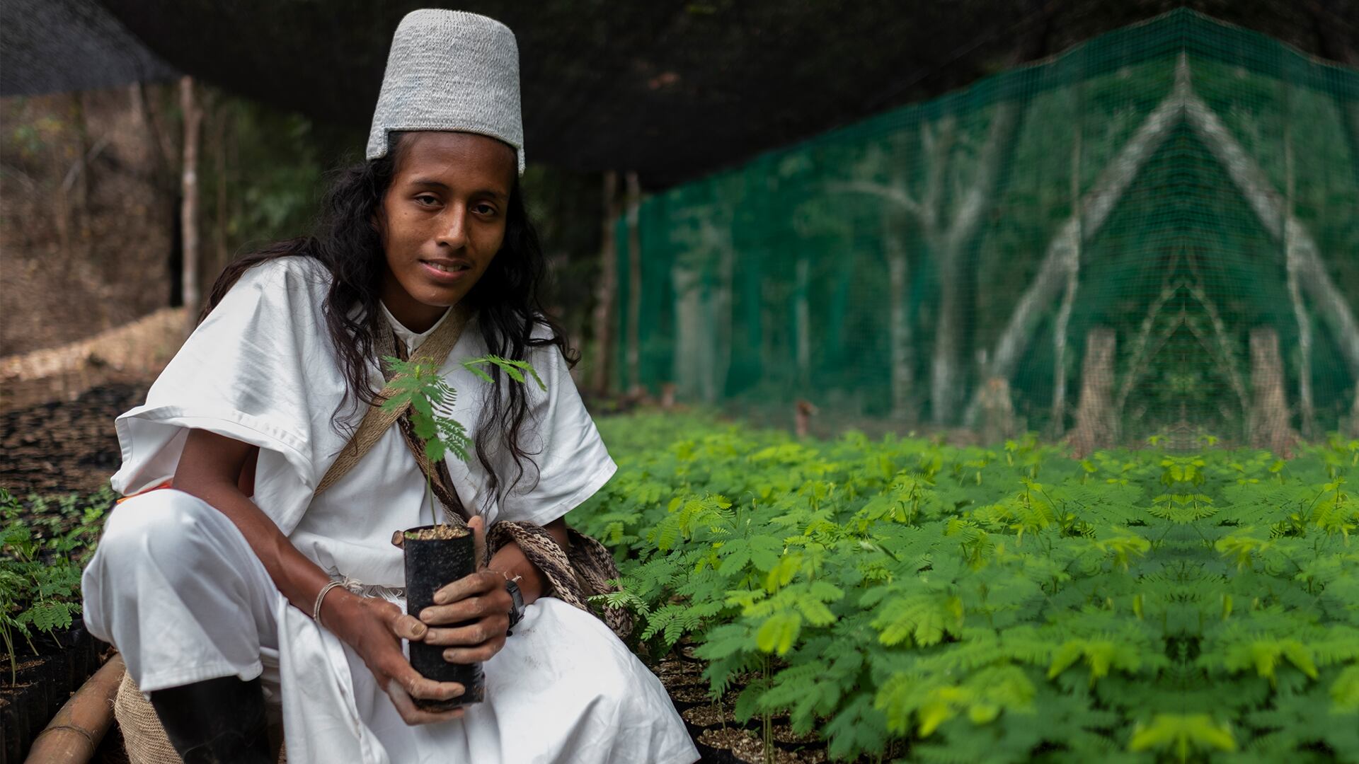 NO USAR,USO EXCLUSIVO MEJOR COLOMBIA, Especial Minambiente, Restauración
