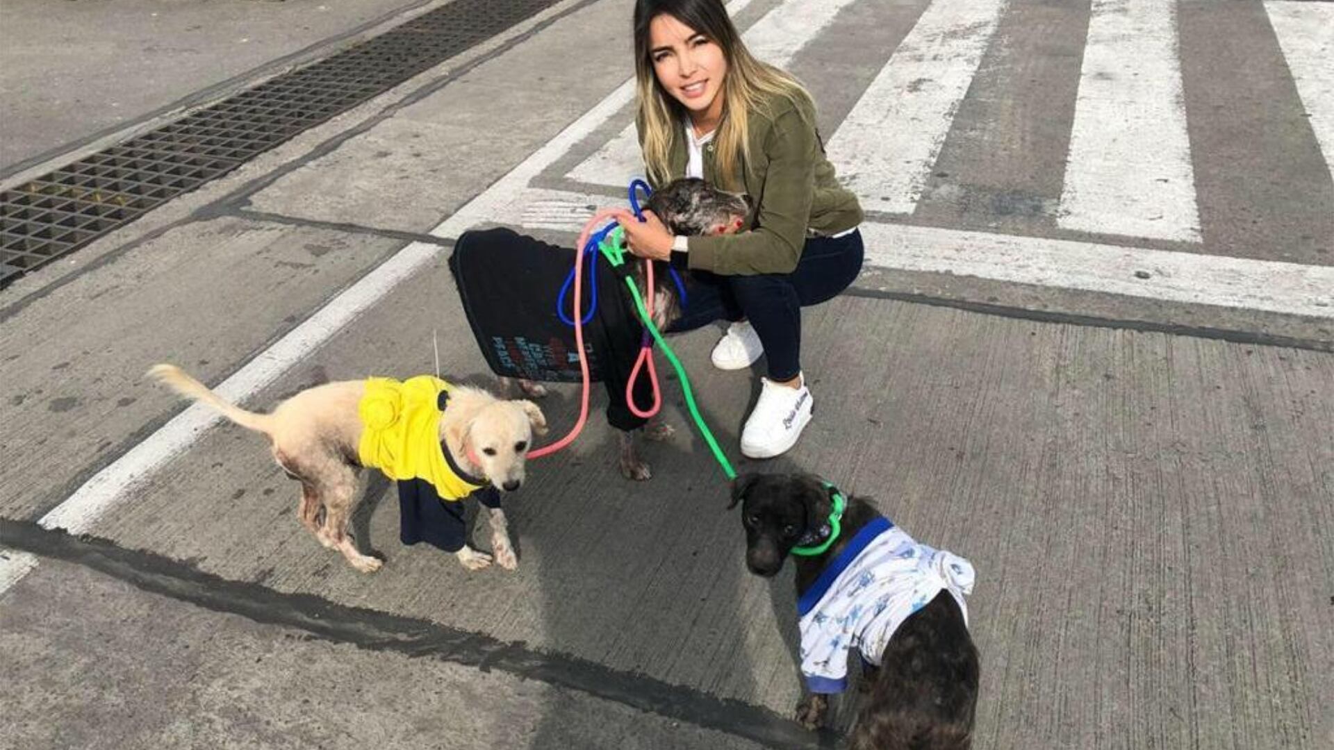 Laura Rodríguez dirige la Fundación Adopta No Compres desde 2013.