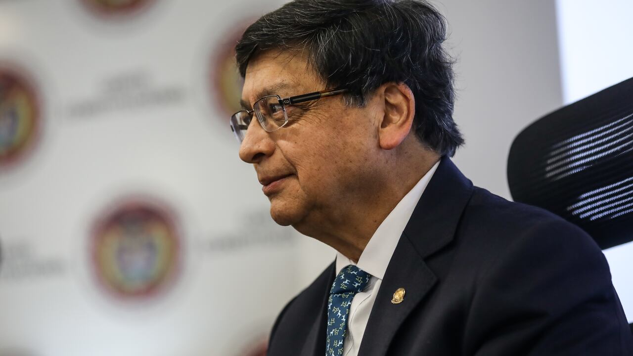 Jorge Enrique Ibáñez Najar, magistrado de la Corte Constitucional de Colombia.