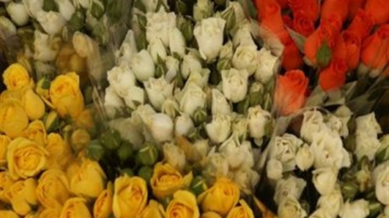 En total son 125 compradores de 29 países los que confirmaron su participación en la rueda de negocios.