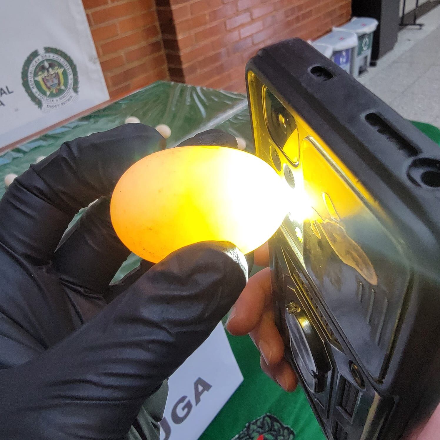 Los huevos fueron incautados por la Policía Ambiental y funcionarios de la Secretaría Distrital de Ambiente.