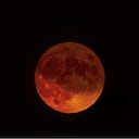 El siguiente eclipse será el 5 de mayo de 2023 en una fase de penumbra, uno total llegará en 2025 (imagen de referencia).