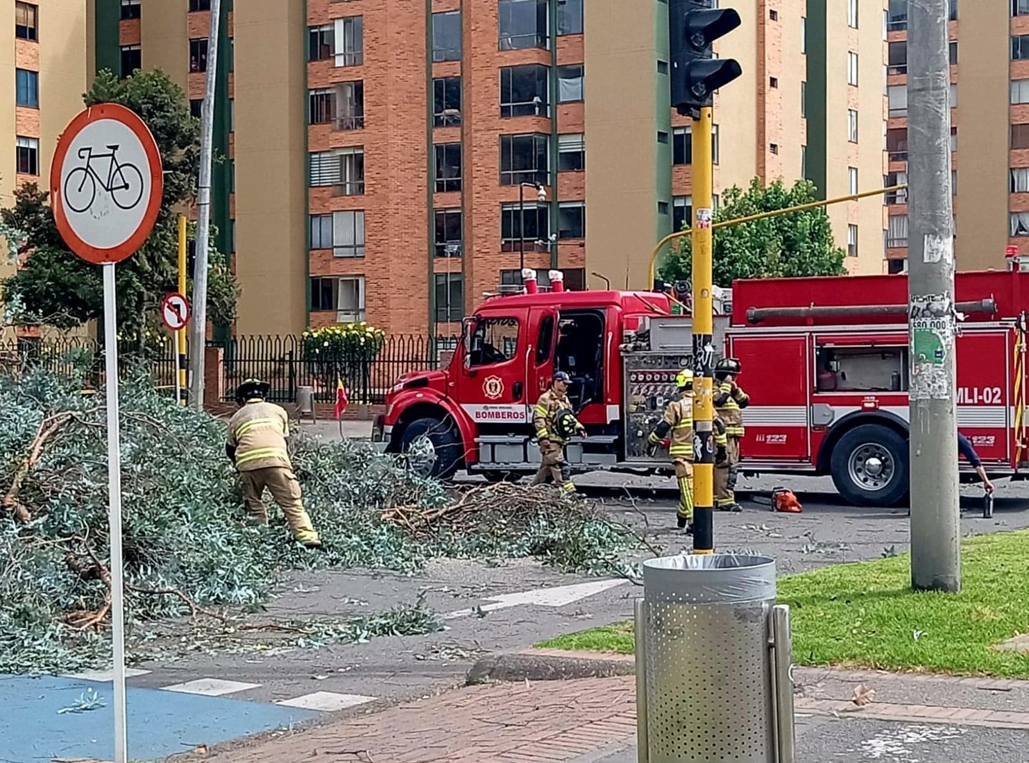 Hasta el momento se desconocen las razones que llevaron a la caída del árbol.