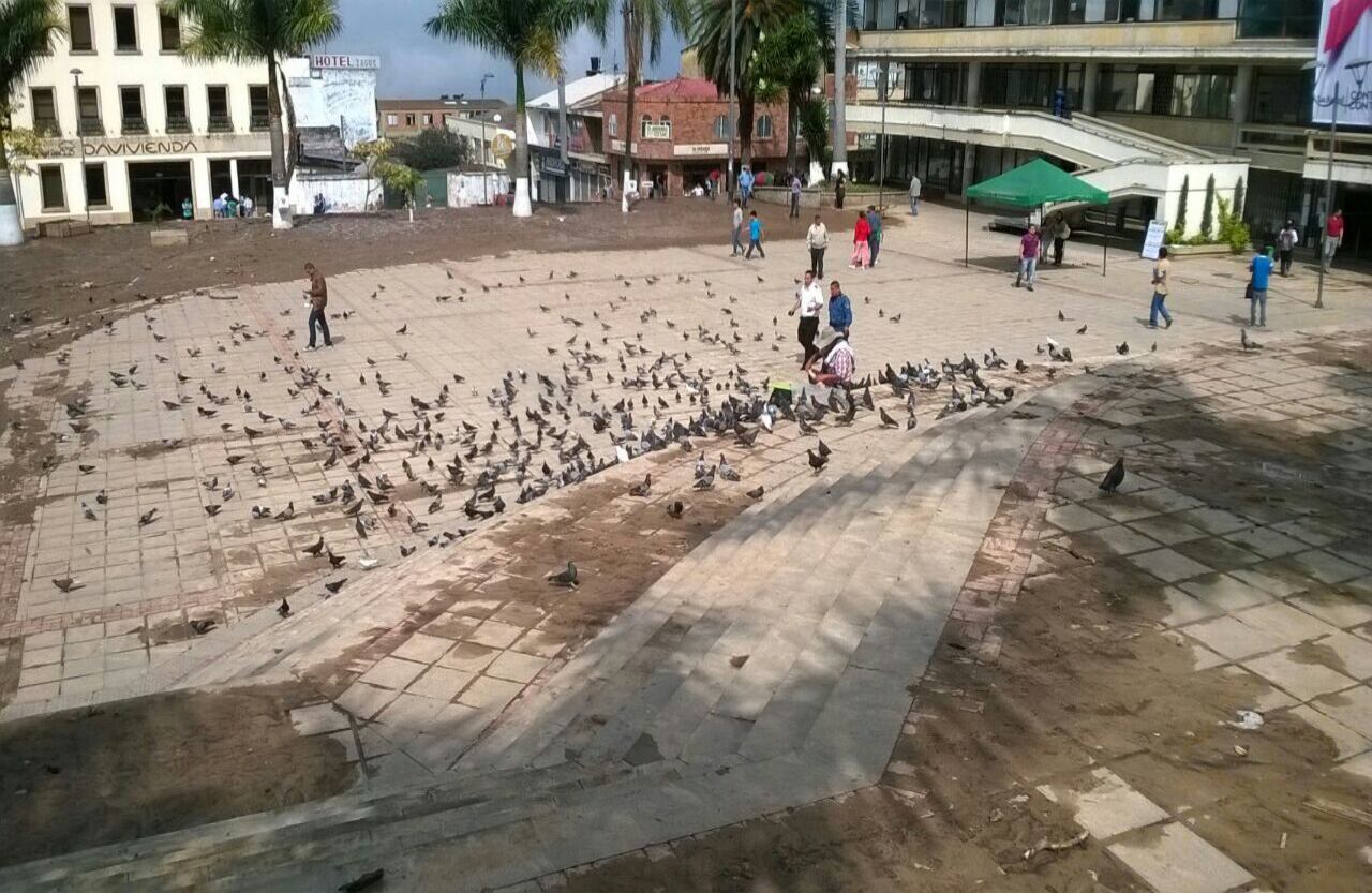 Foto: Armando Rey Blanco