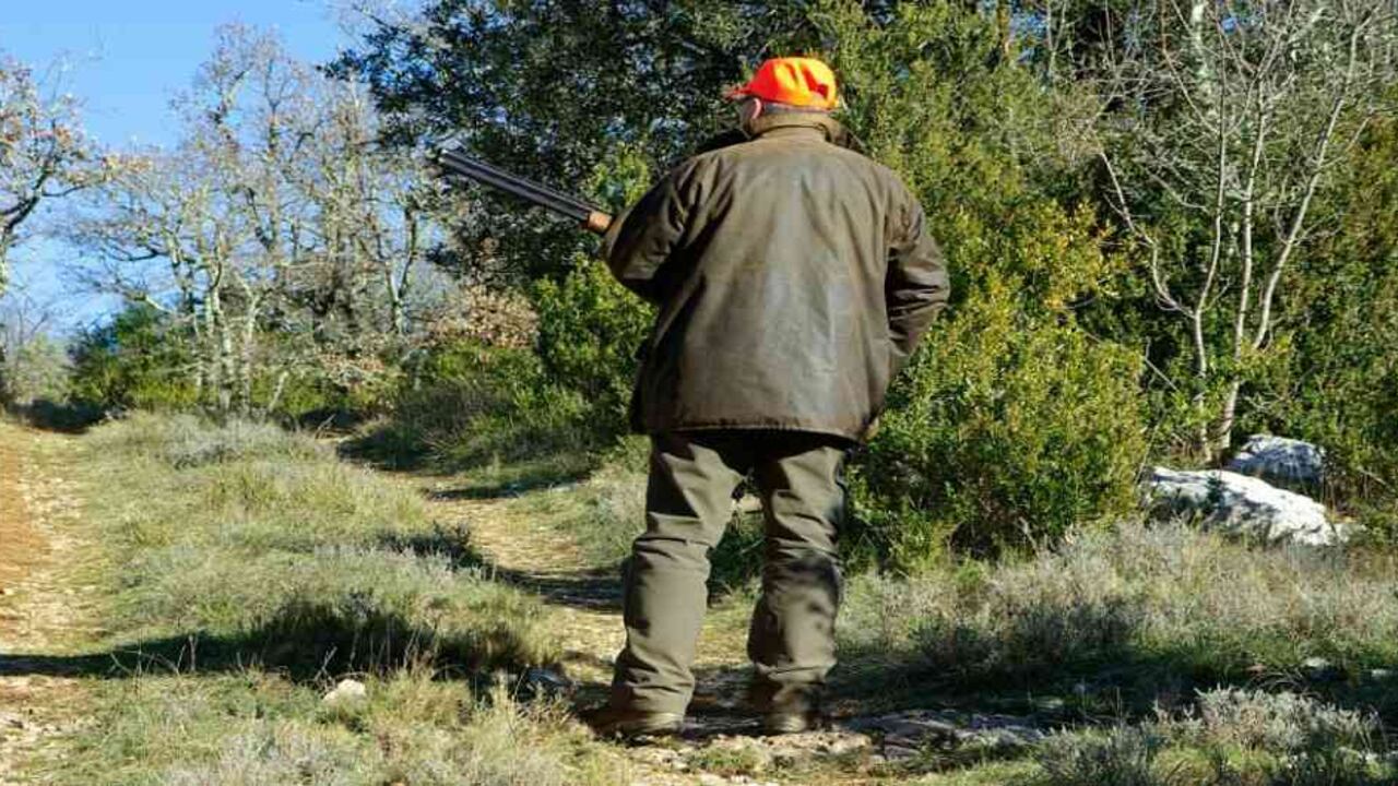 De ahora en adelante la caza deportiva será castigada penalmente en Colombia. Foto: Pixabay.