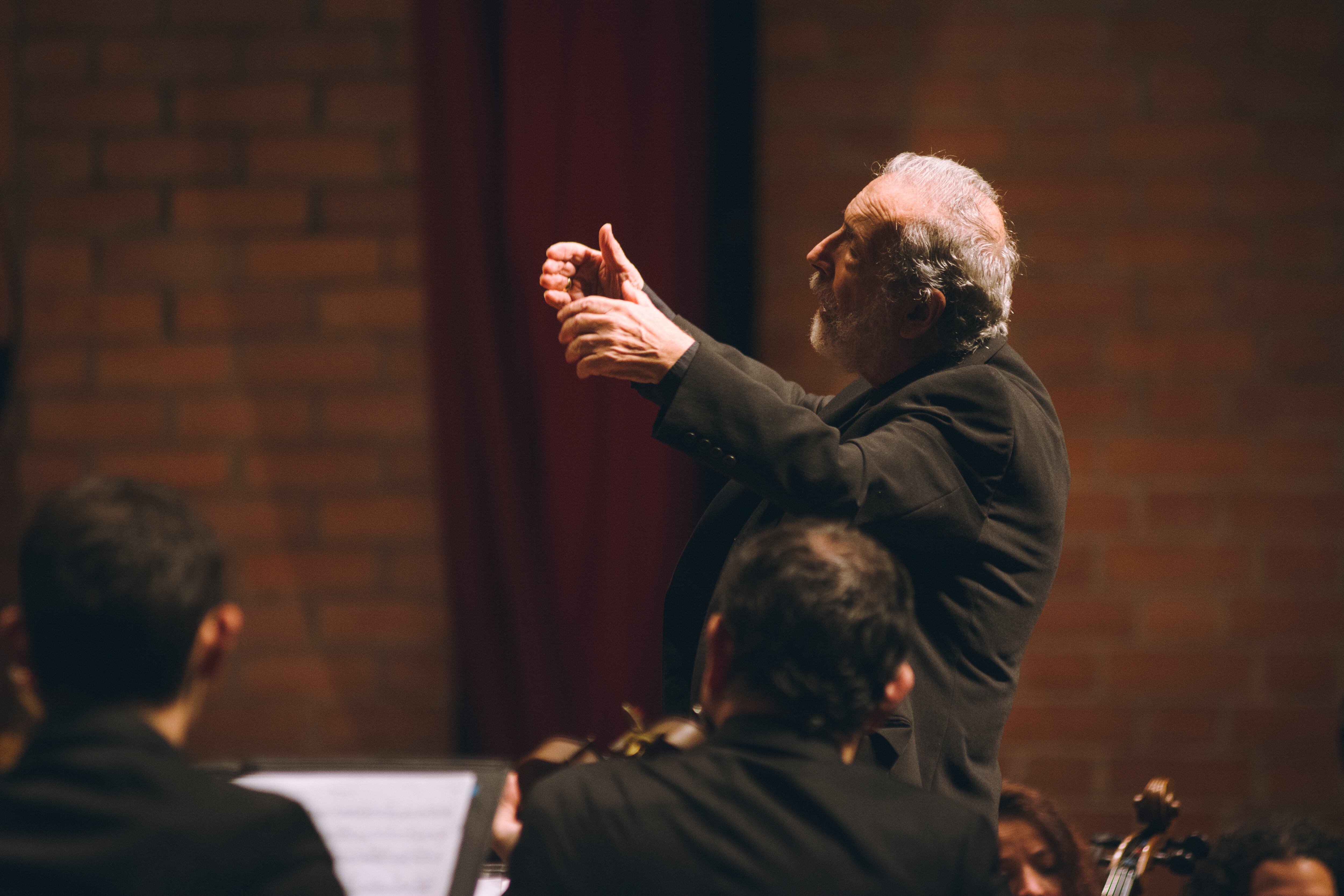 La música será la protagonista en el aniversario número 40 de esta gran orquesta.