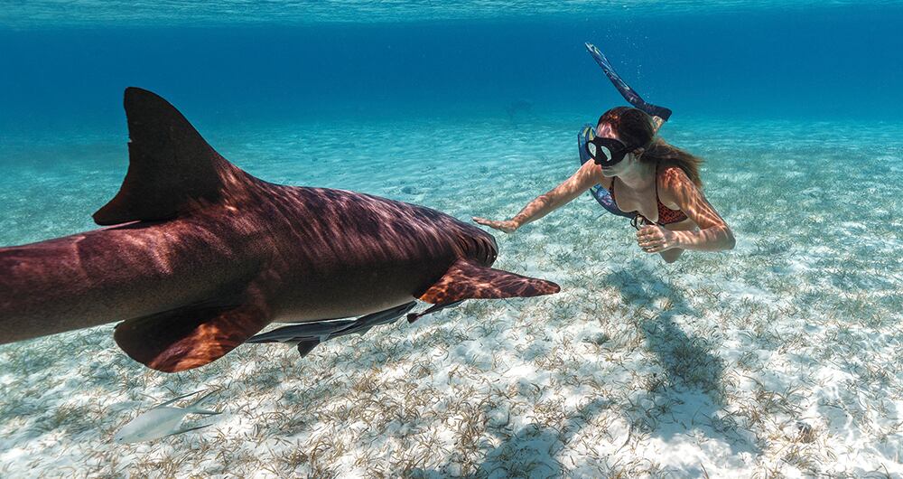 Claudia aprendió sobre apnea en un curso que tomó en Las Bahamas.