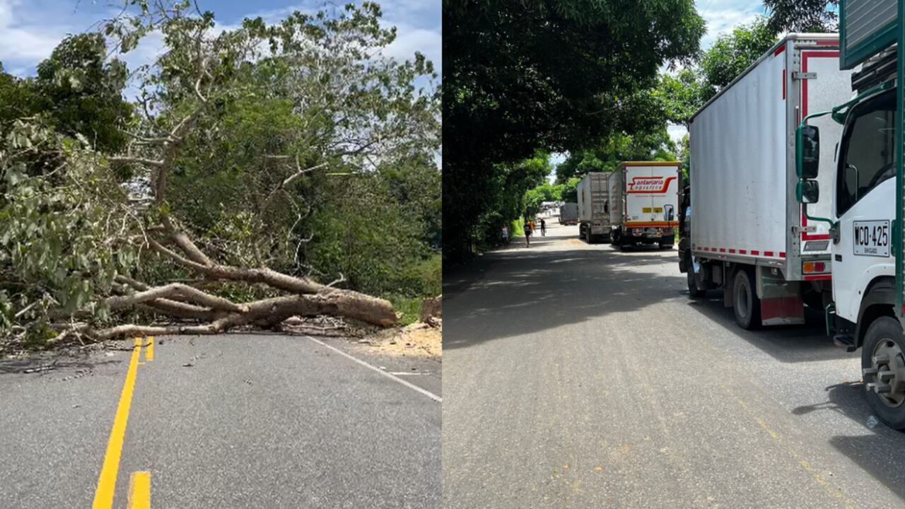 Manifestaciones de mineros en Antioquia dejan pérdidas millonarias en los camioneros.