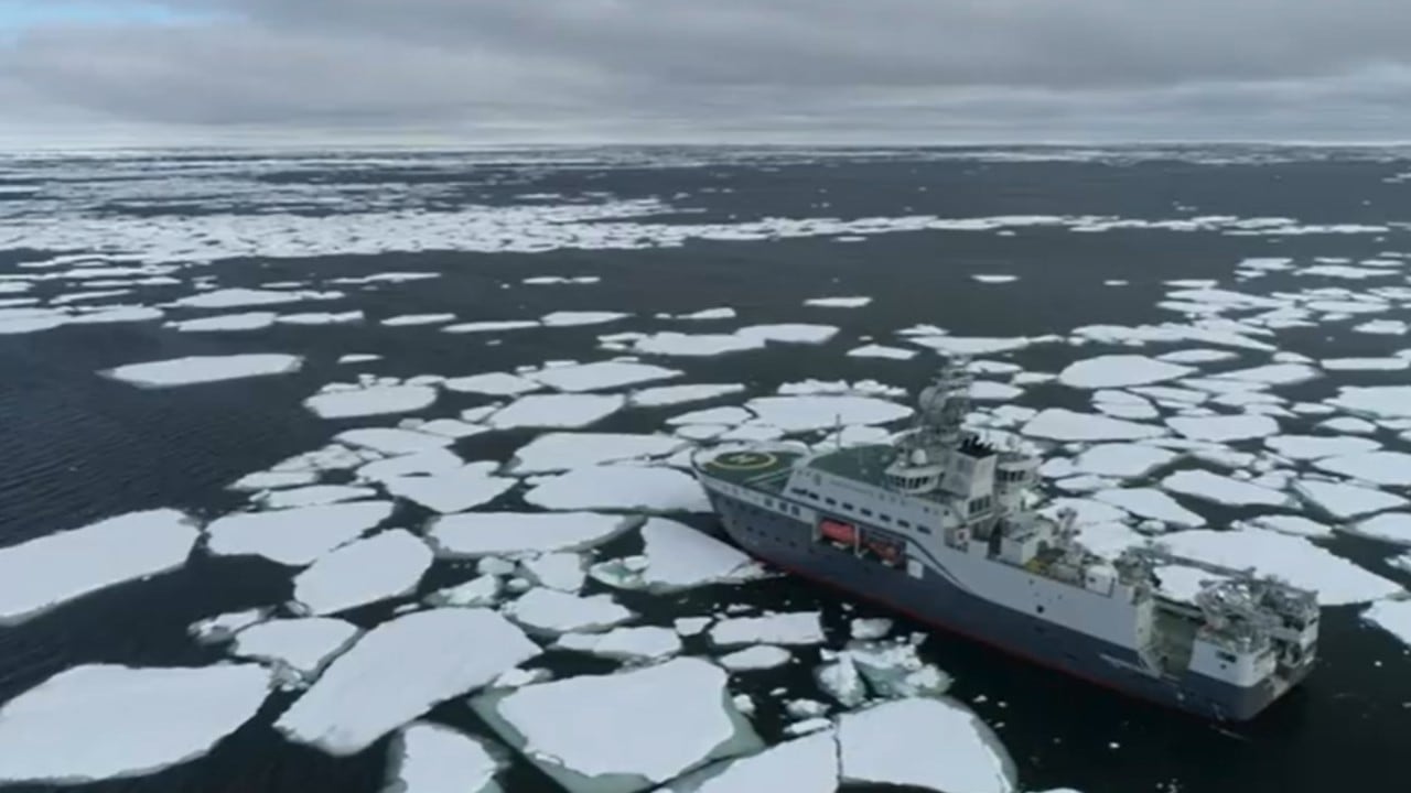 El informe técnico también advierte que la fauna en estas zonas presenta una clara diferenciación según la profundidad.