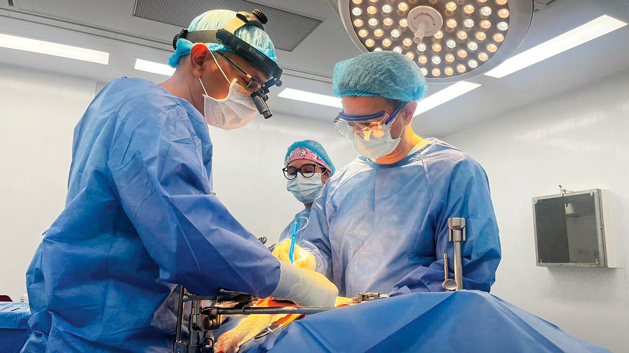  El cáncer de páncreas es la sexta causa de muerte por cáncer a nivel mundial. Para 2030 se estima que será la segunda causa de mortalidad oncológica. 