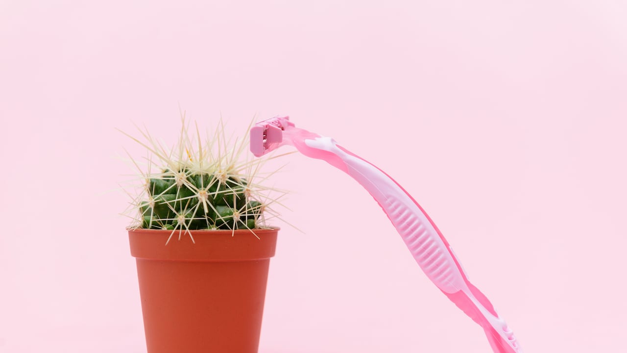 La forma correcta de depilarse la zona íntima.