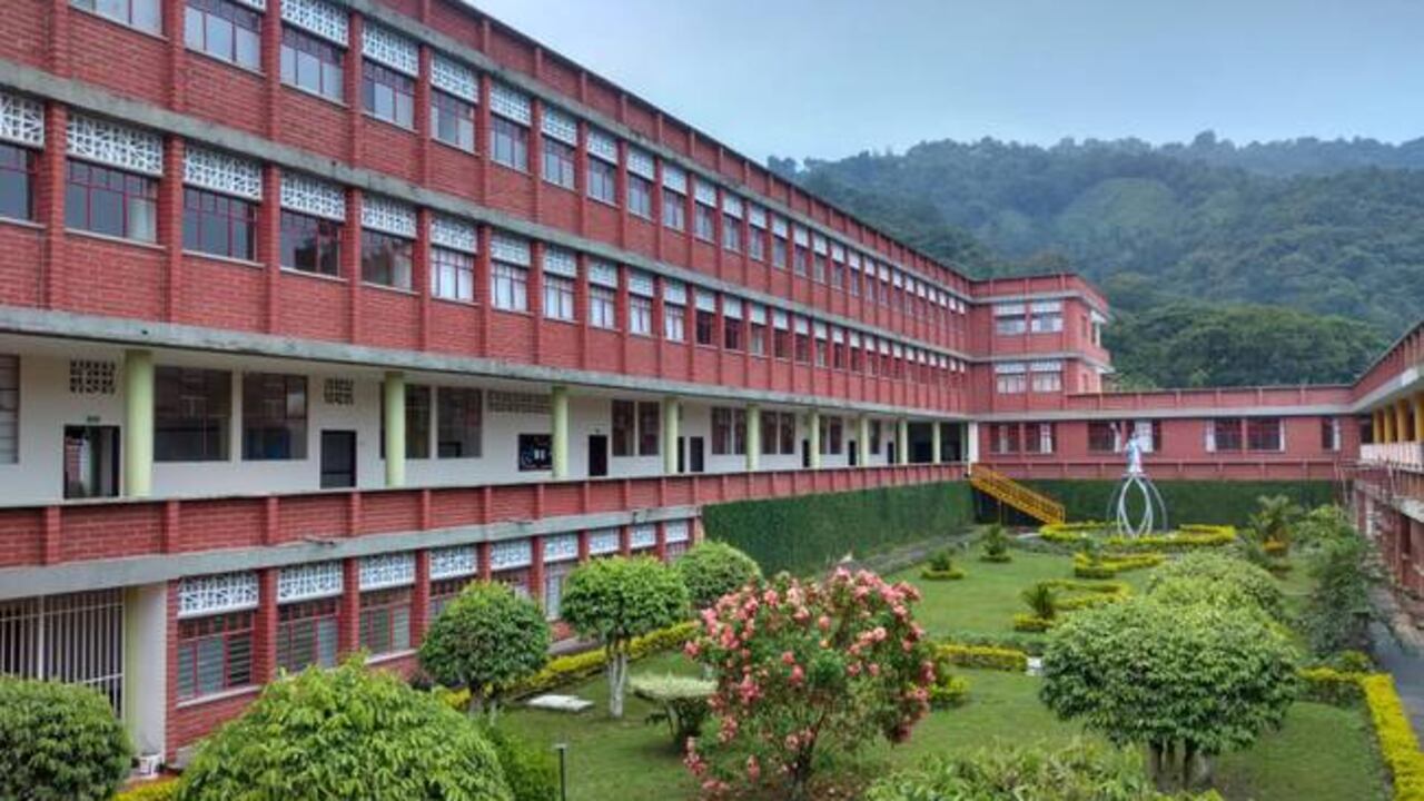 15 profesores se quedarán sin trabajo.