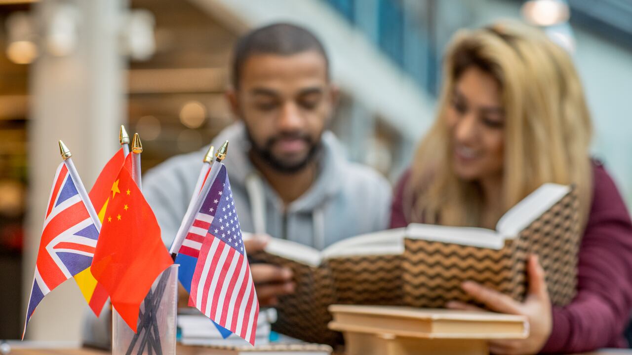 Dominar un nuevo idioma requiere esfuerzo y disciplina.