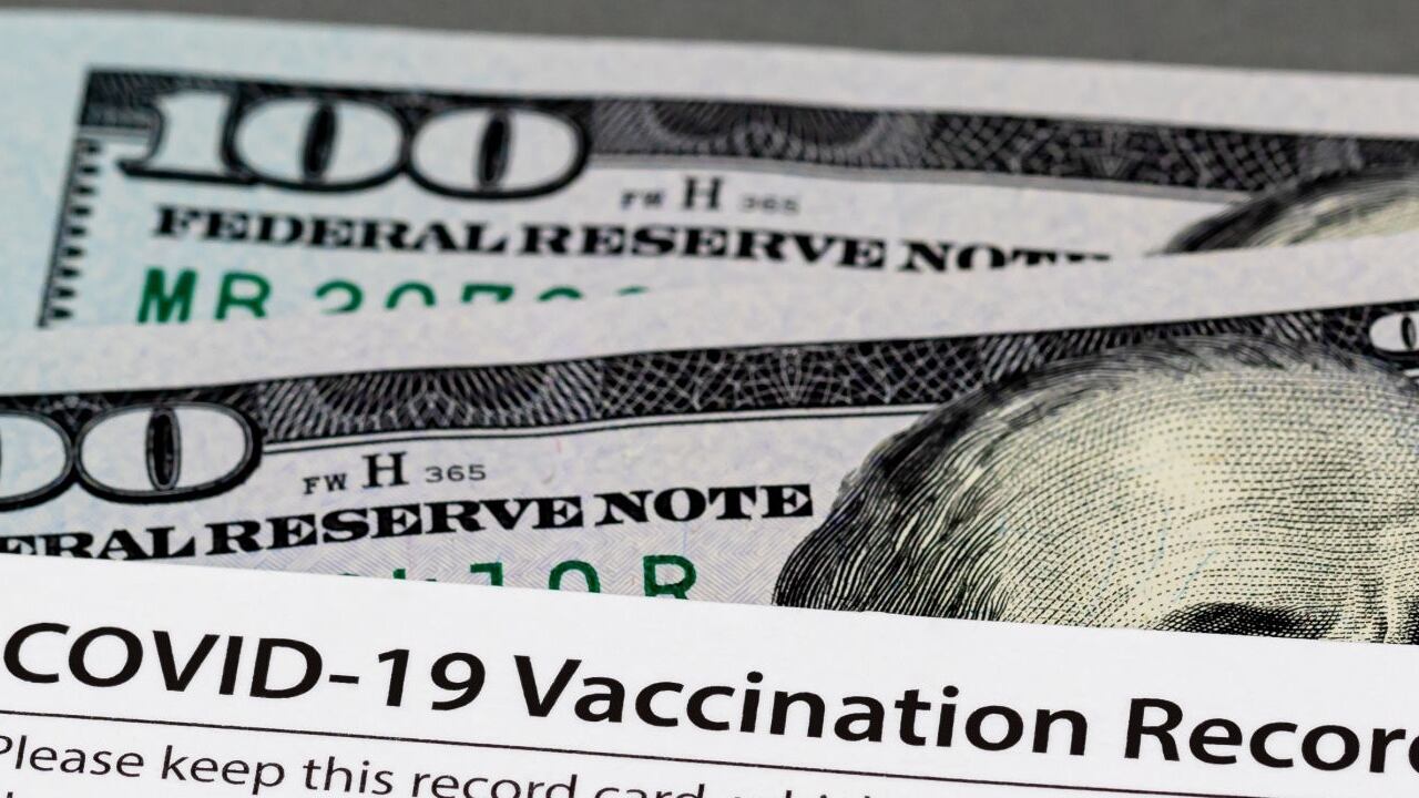 Los carnés falsos se están viendo en varios países del mundo