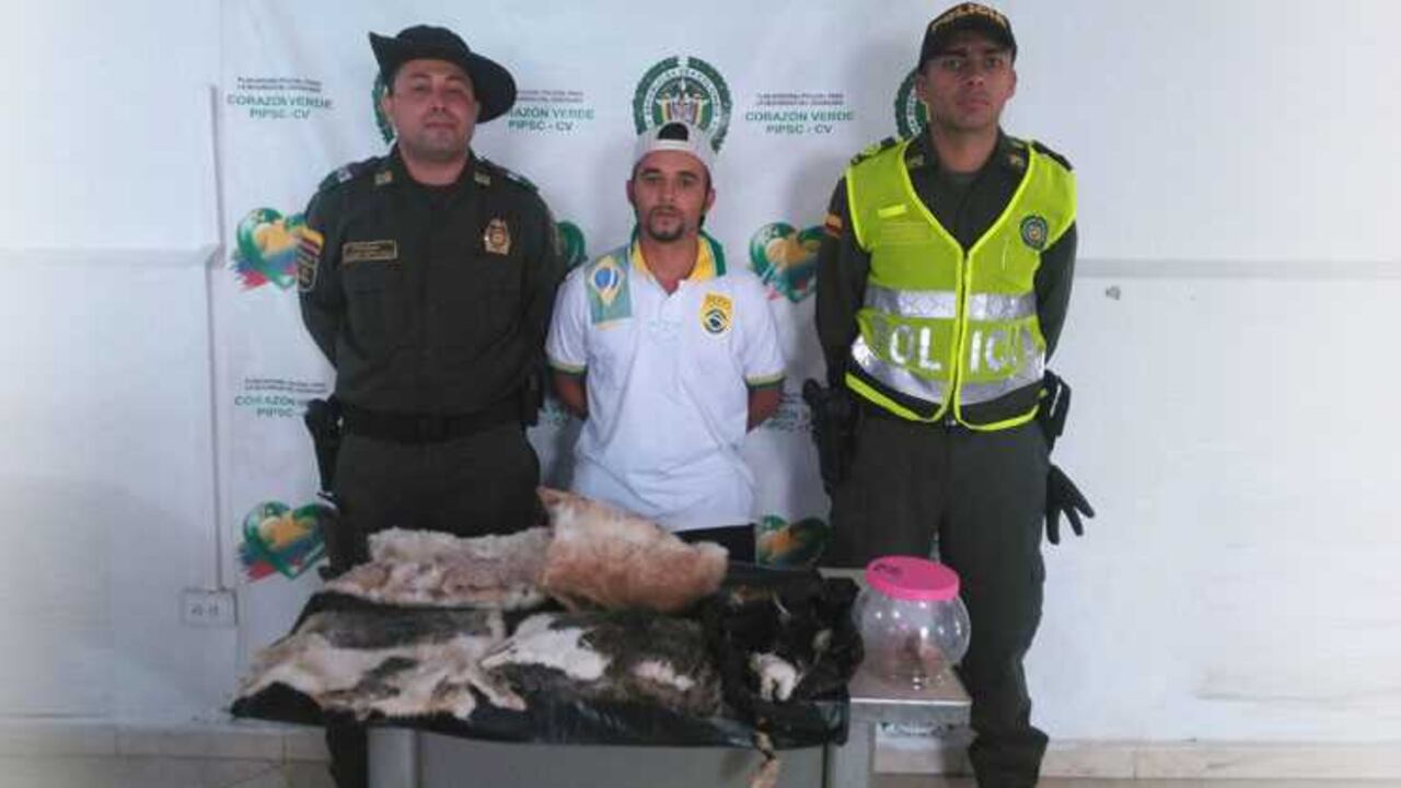 David Flórez sacó del interior de la vivienda un costal de fibra color blanco en el que tenía pieles de gatos de diferentes colores en estado de descomposición.