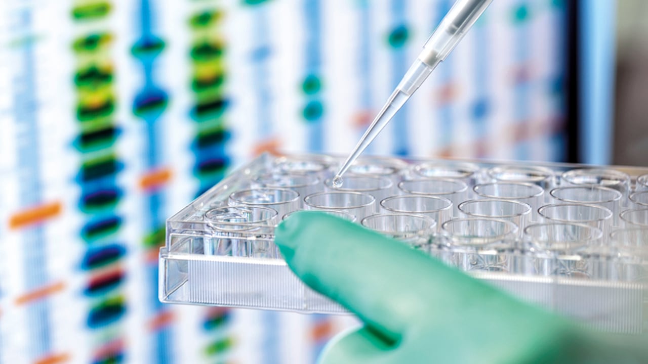 Lo que busca la medicina de precisión es identificar características puntuales de los tumores de cada paciente y permitir una segmentación más apropiada.