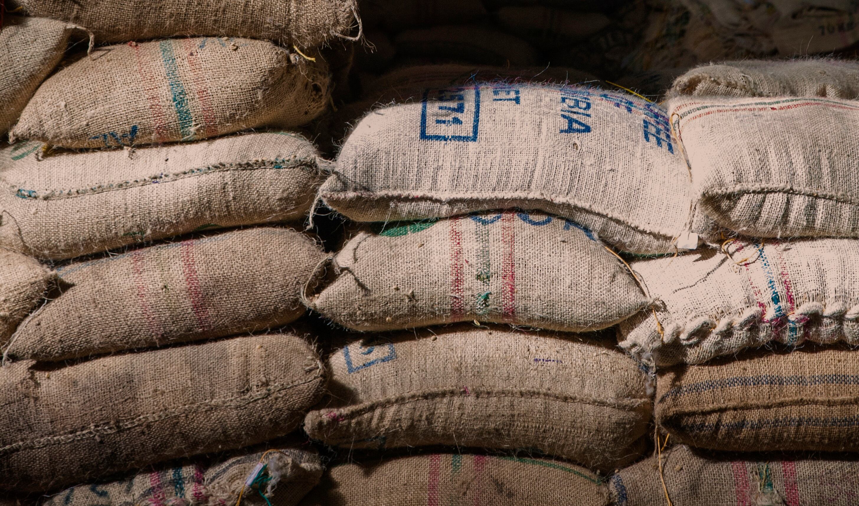 Banco de Bogotá ha bancarizado el 75% de los caficultores agremiados a la Federación Nacional de Cafeteros