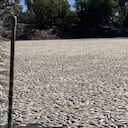 Masiva muerte de peces despierta alarmas en Australia.