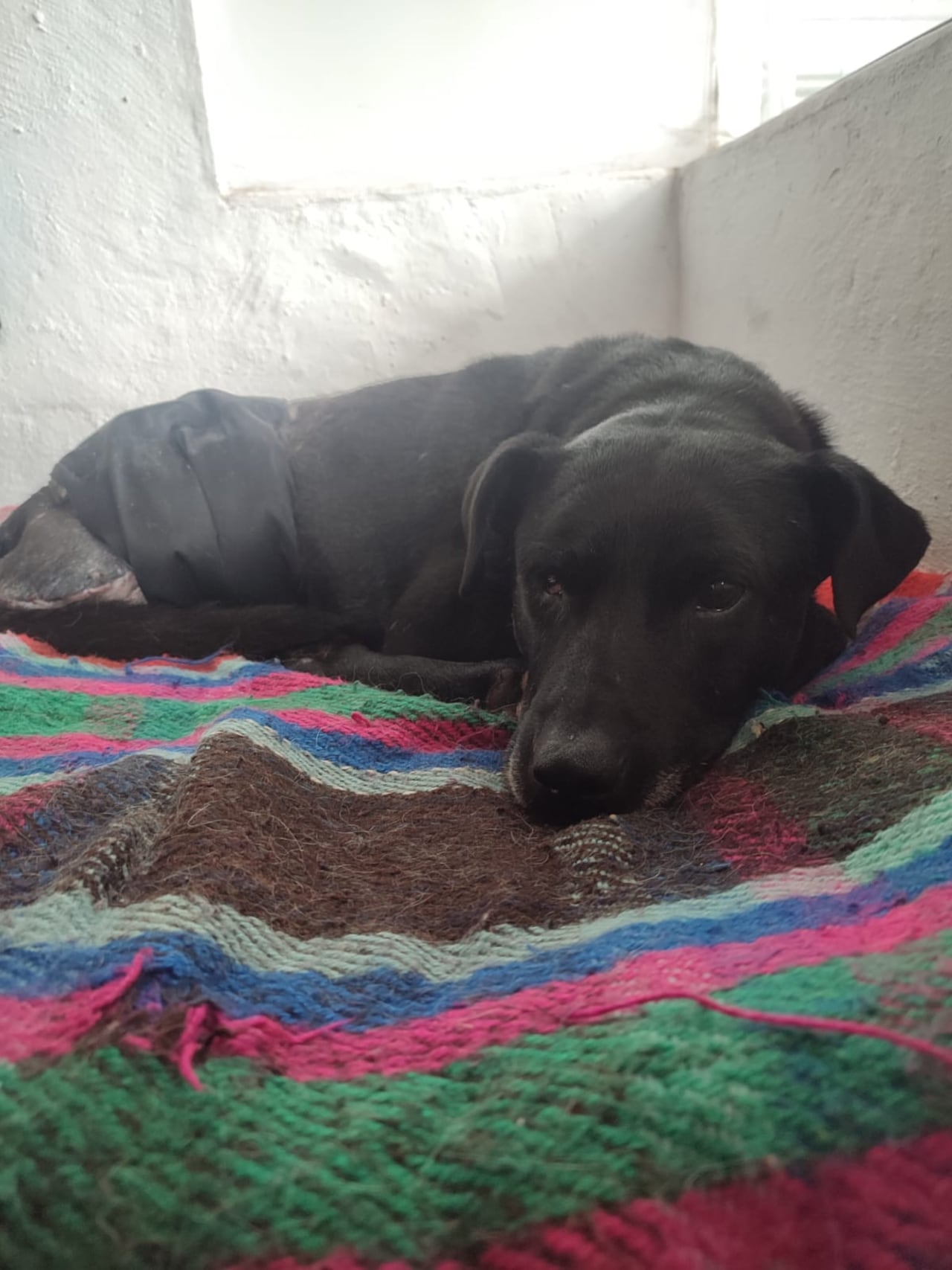 Aporte Mireya Velasco