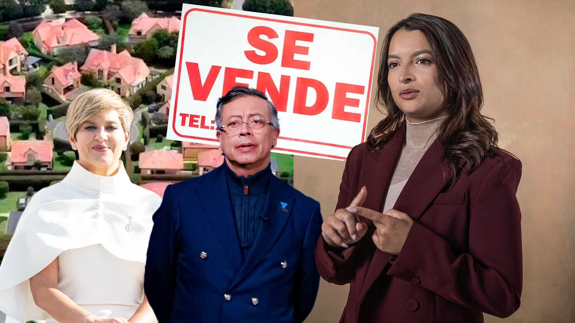 Andrea Petro