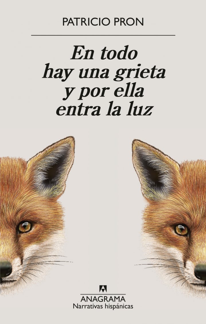 'En todo hay una grieta y por ella entra la luz' (Anagrama).