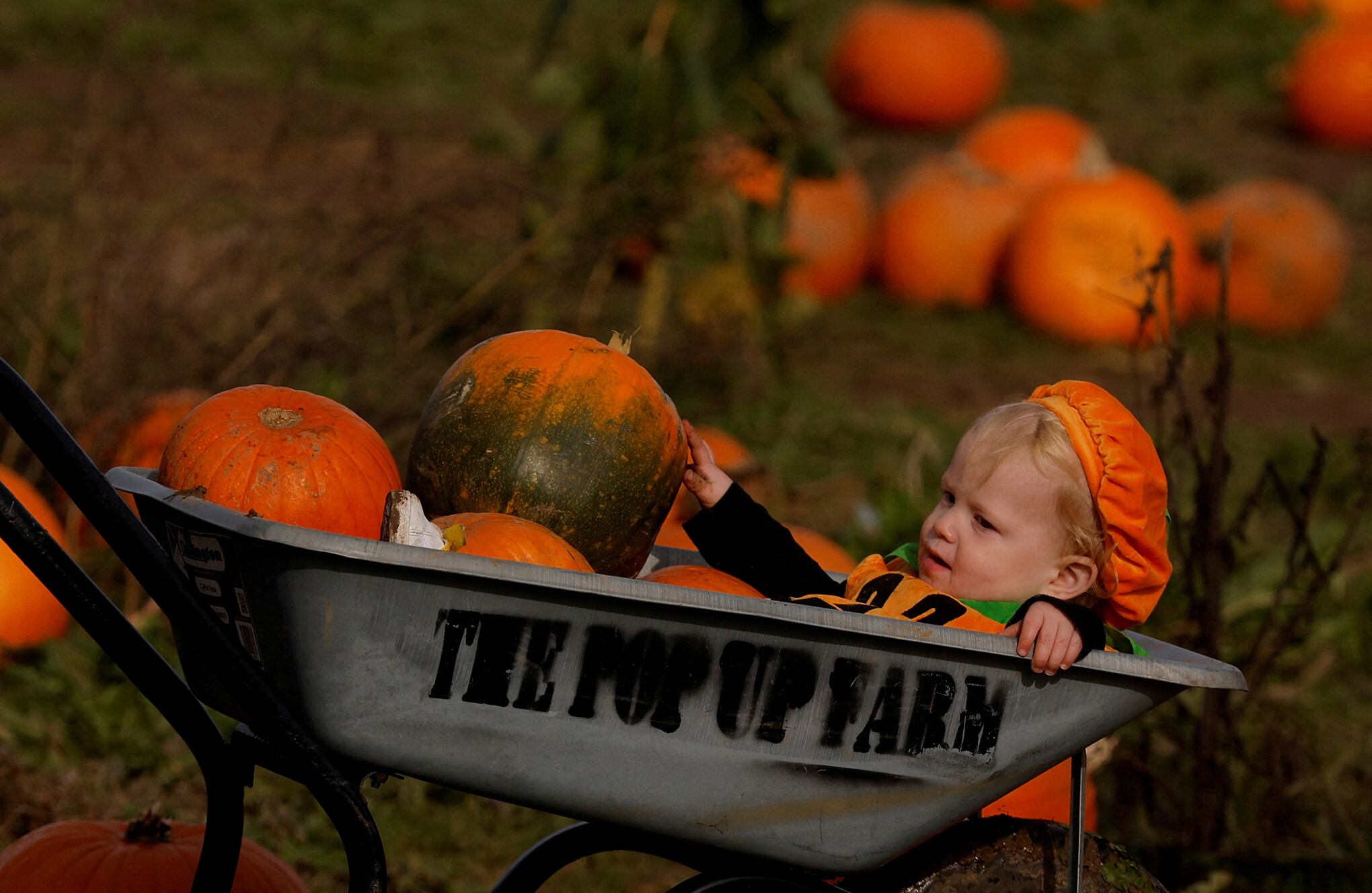 Fotos de la semana 27 octubre