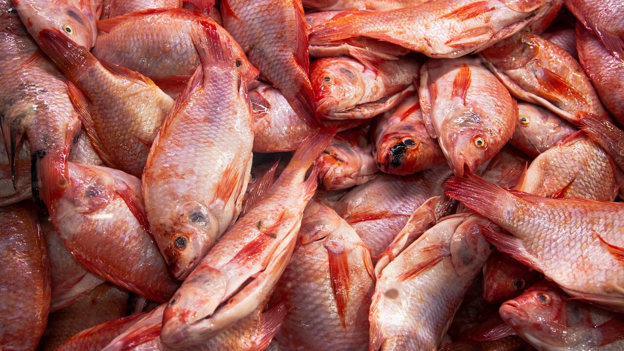Plaza de mercado Paloquemao, Bogotá.
Protocolos de bioseguridad para Semana Santa.