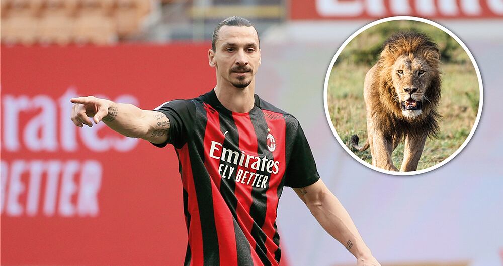 La moda no incomoda_2