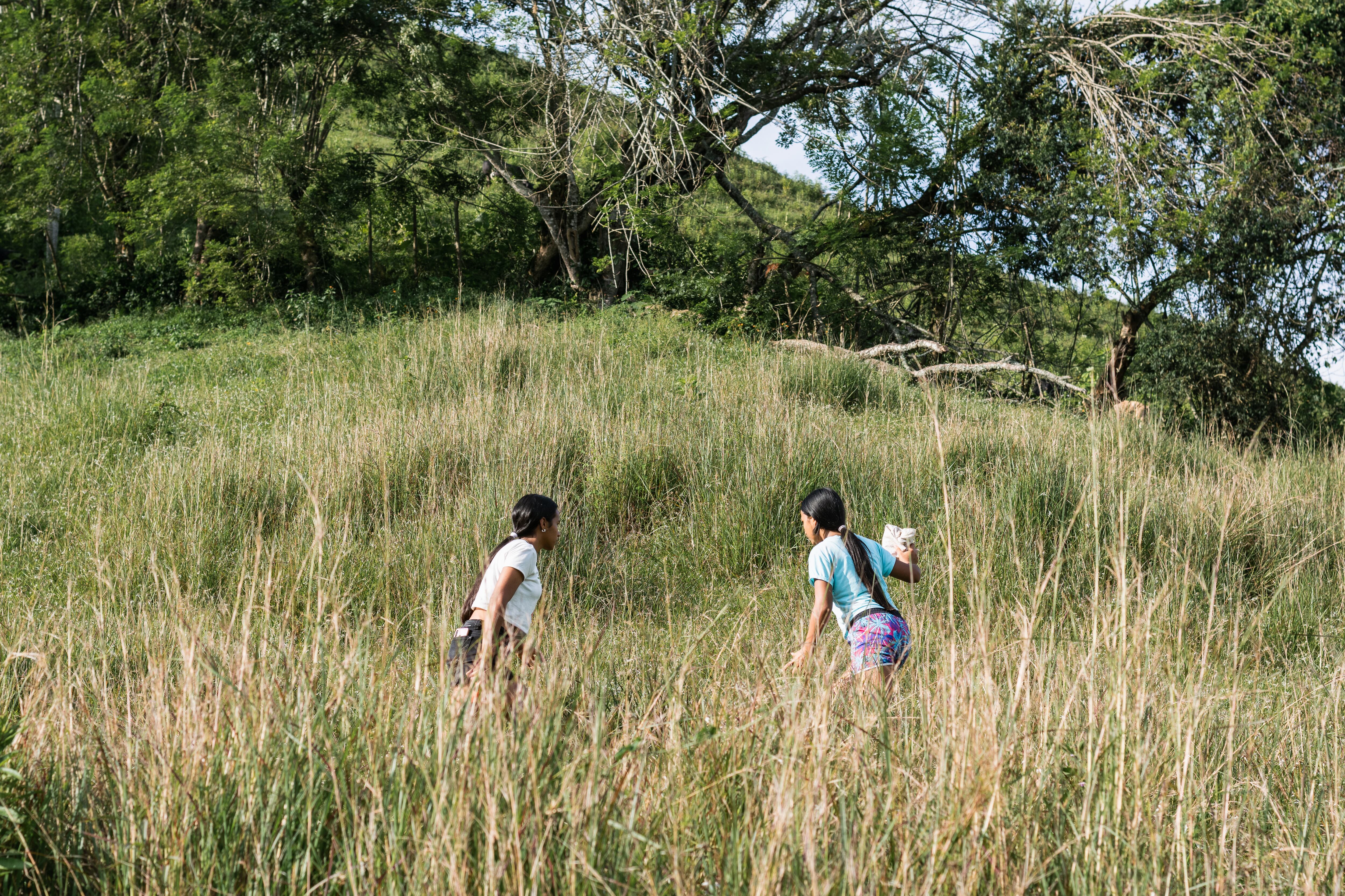 Según el Diagnóstico de inclusión productiva para población joven rural y rural dispersa en Colombia, el 31 % de los jóvenes rurales no estudian ni trabajan.