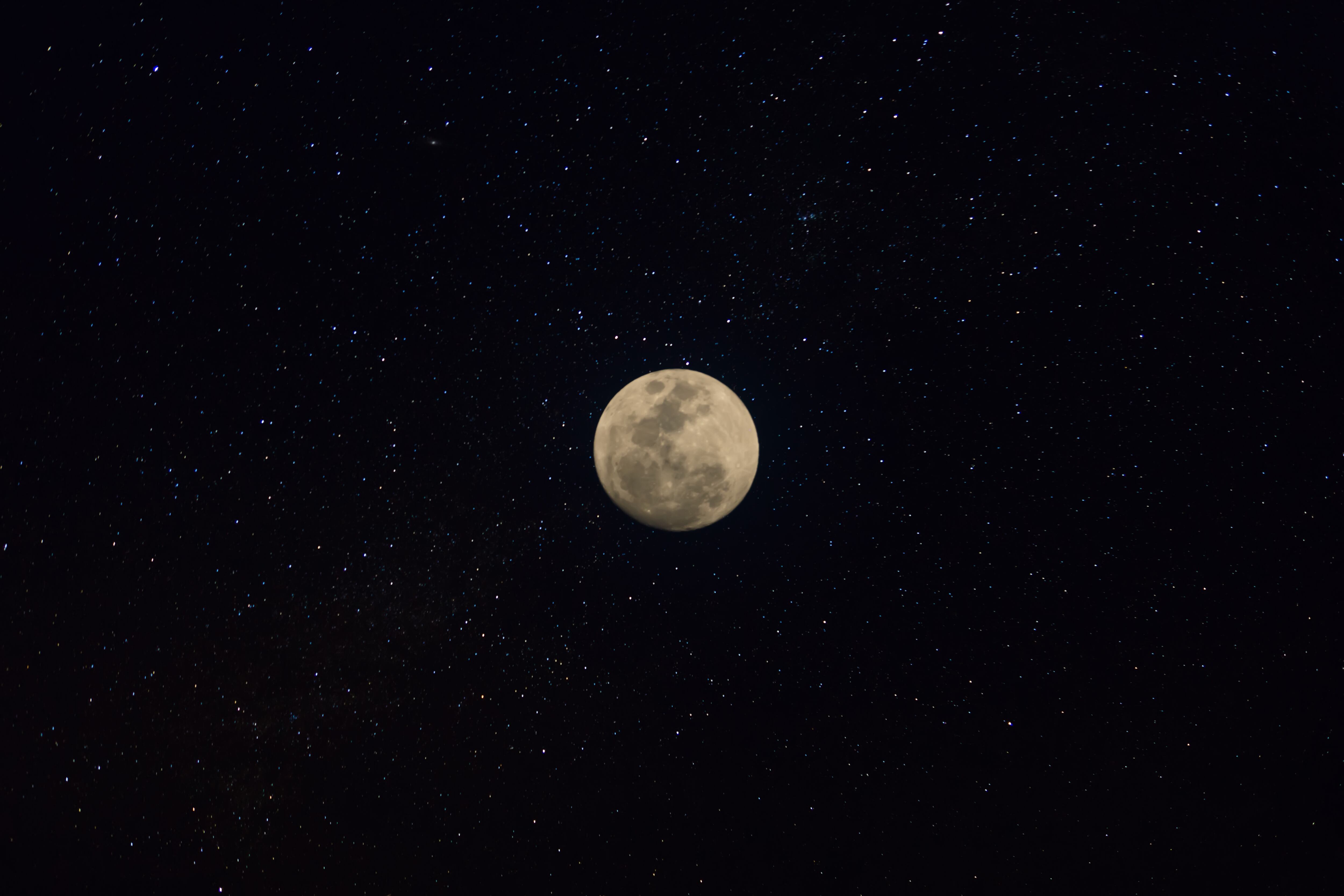 Regulus puede localizarse mediante distintos métodos de orientación astronómica.