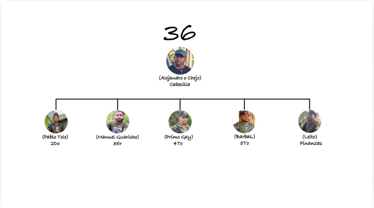 Este es el organigrama de la despiadada estructura 36 de alias Calarcá, según la inteligencia de la fuerza pública.