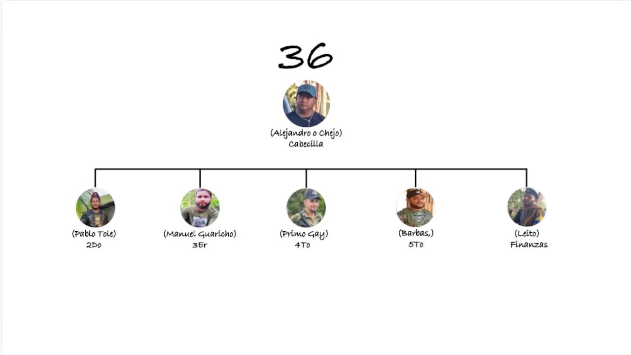 Este es el organigrama de la despiadada estructura 36 de alias Calarcá, según la inteligencia de la fuerza pública.