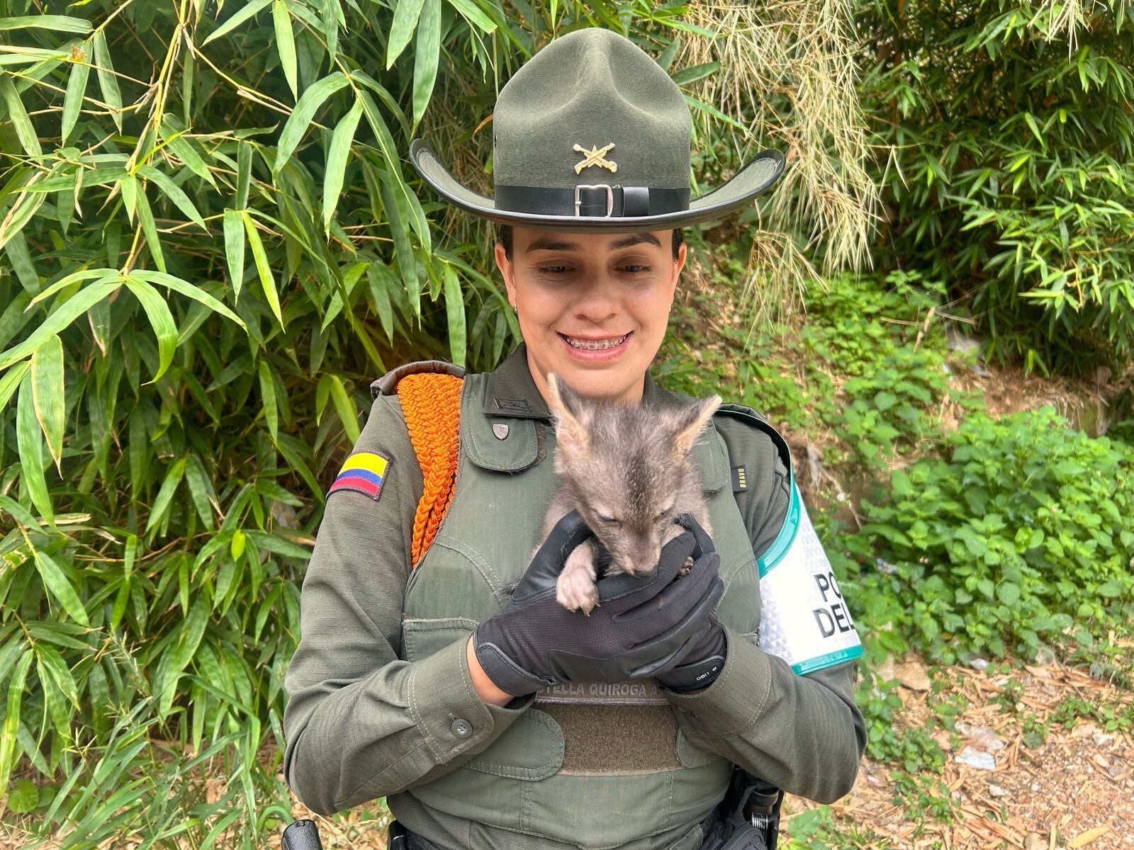 Policía rescata zorro perro usado como mascota en Bucaramanga.