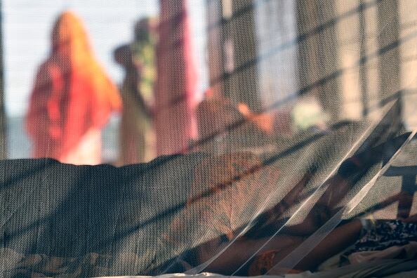 La Organización Mundial de la Salud (OMS) advirtió en abril pasado que el dengue y otras enfermedades causadas por virus transmitidos por los mosquitos se propagan mucho más y más lejos bajo el efecto del cambio climático.(Photo by Syed Mahamudur Rahman/NurPhoto via Getty Images)