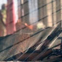 La Organización Mundial de la Salud (OMS) advirtió en abril pasado que el dengue y otras enfermedades causadas por virus transmitidos por los mosquitos se propagan mucho más y más lejos bajo el efecto del cambio climático.(Photo by Syed Mahamudur Rahman/NurPhoto via Getty Images)