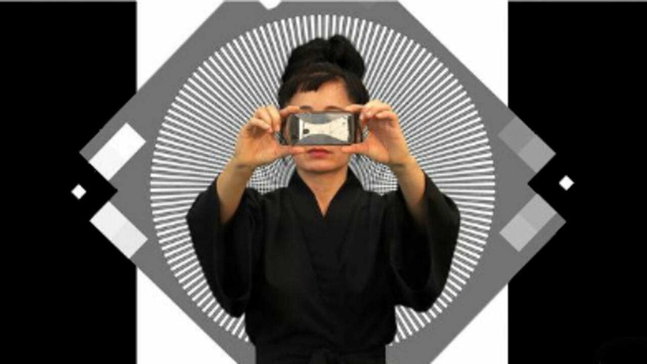 "How not to be seen", de Hito Steyerl (2013).