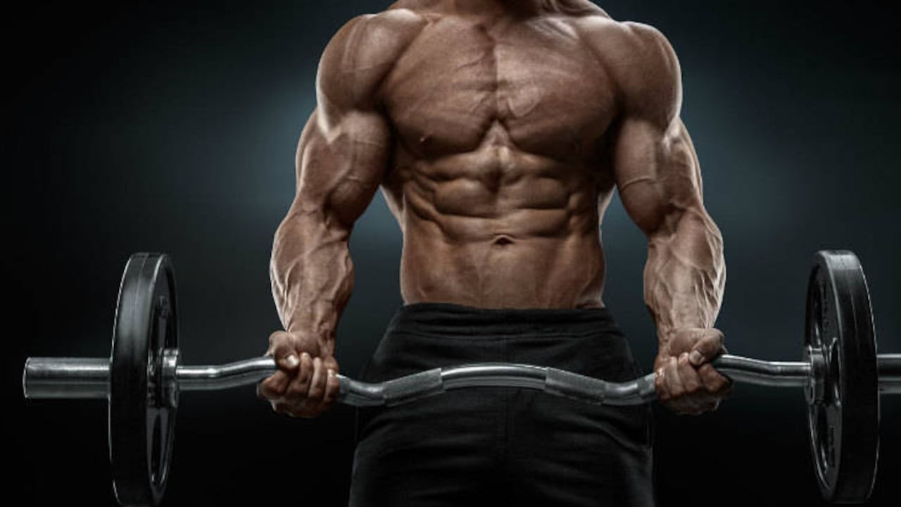 Las bondades que tiene el germen de trigo en torno a la función cerebral le permiten tener una mejor conexión entre la mente y los músculos.