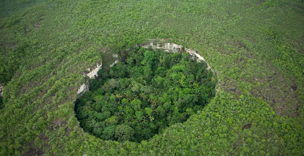 Parque Natural Chiribiquete, un destino ideal para conocer la naturaleza y biodiversidad colombiana