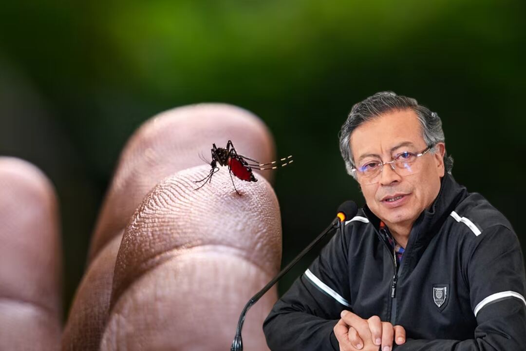 Petro anuncia medidas por casos de fiebre amarilla. Declarará emergencia económica y sanitaria.