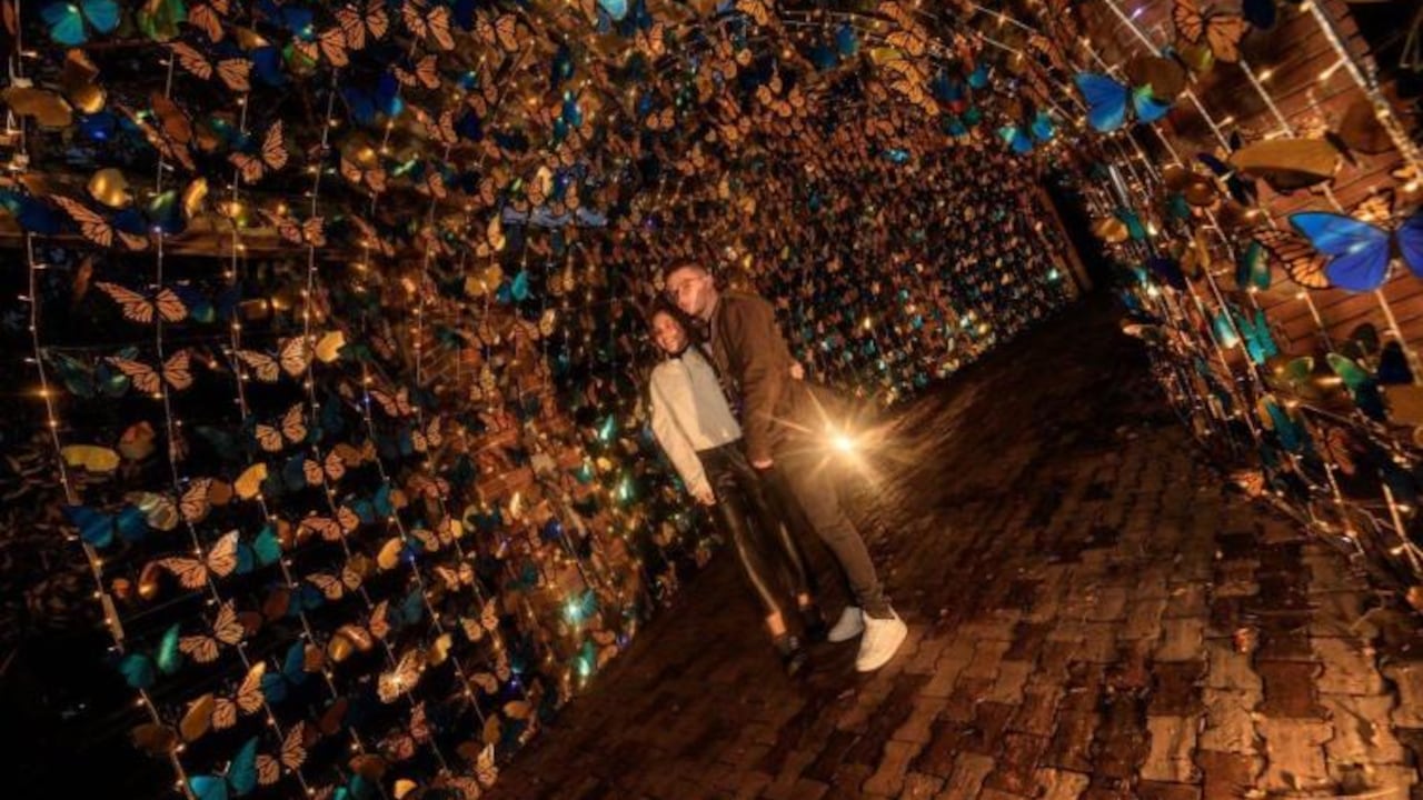 Visitar alumbrados navideños es uno de los planes en Bogotá.