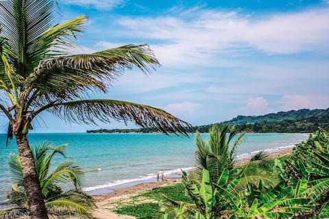 Antioquia tiene aguas tibias y reconfortantes en Necoclí, amplias extensiones de arena en San Juan de Urabá, bullerengue y sabor en Turbo y un contraste de verdes que se aprecia en Arboletes.