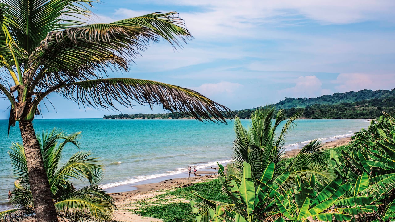Antioquia tiene aguas tibias y reconfortantes en Necoclí, amplias extensiones de arena en San Juan de Urabá, bullerengue y sabor en Turbo y un contraste de verdes que se aprecia en Arboletes.