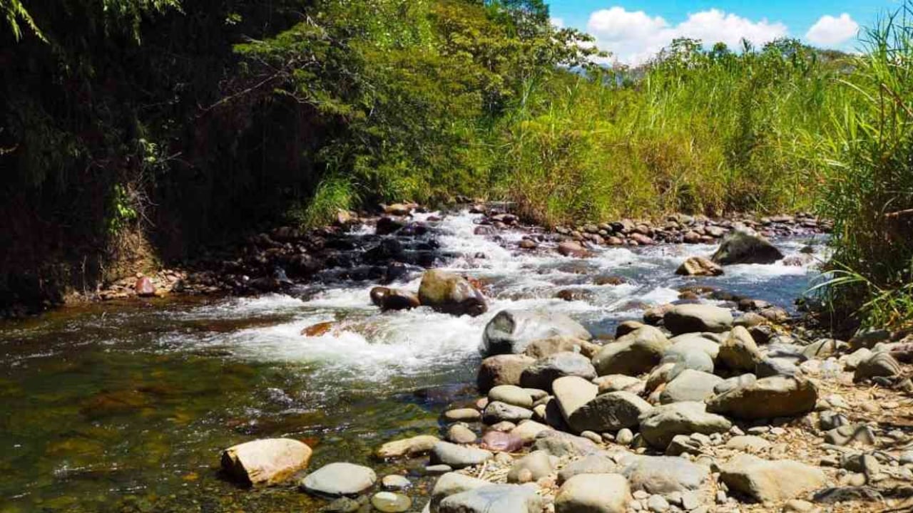 El río Pance es uno de los lugares más emblemáticos de Cali y el Valle del Cauca. La contaminación de sus aguas por cuenta de una mala disposición de los residuos es una de sus principales amenazas. Foto: Alcaldía de Cali - Colombia hoy.