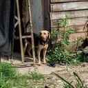 Al parecer, quienes han invadido en el sector de Cauquita o Villa Mercedes, son los que han enviado los mensajes amenazantes.