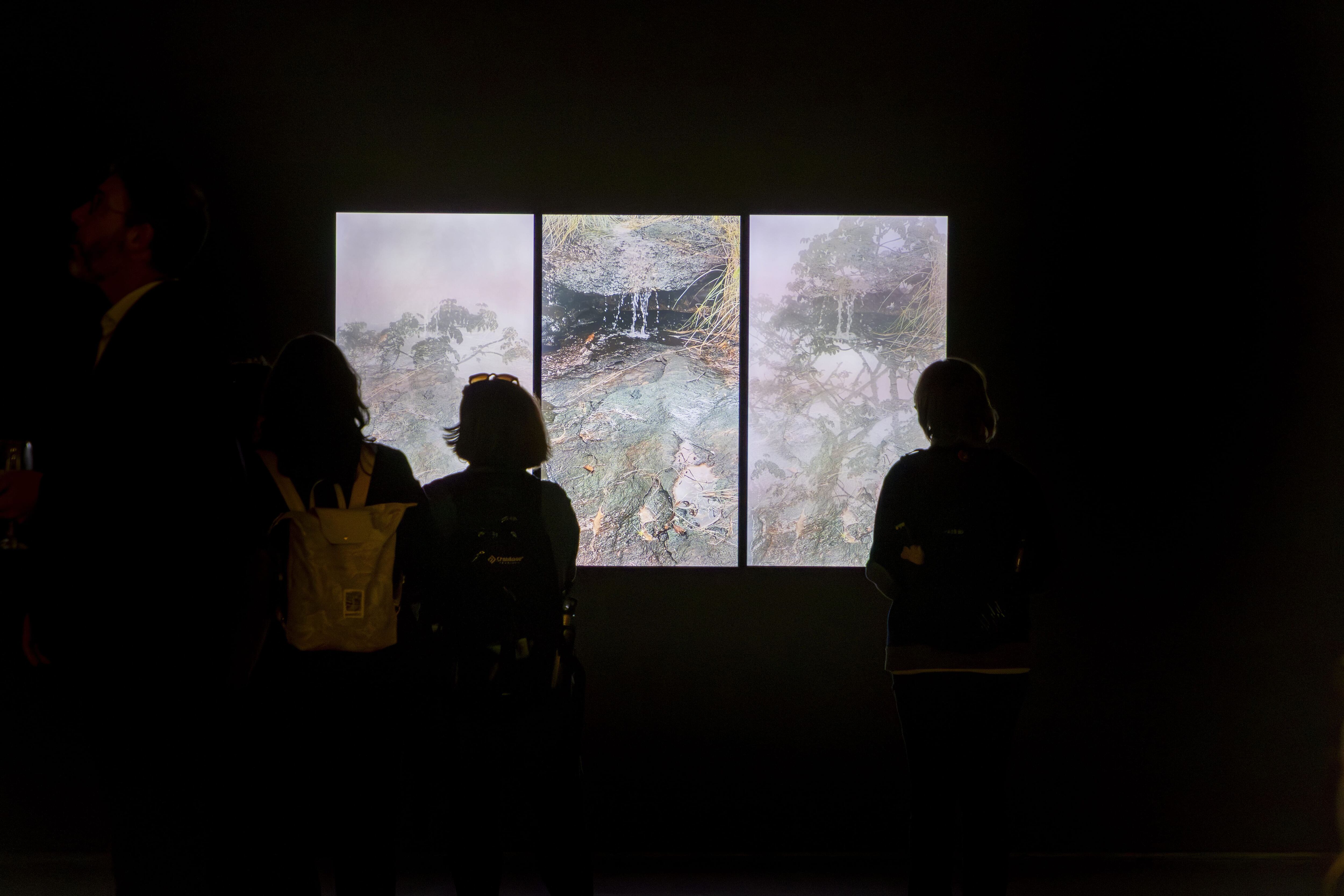 ‘Páramos: cuerpos de agua / cuerpos en fuego’