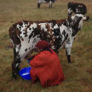 Sumapaz: del cielo a la tierra